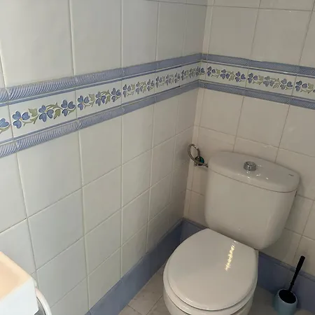 Homely Royal 公寓 托雷维耶哈